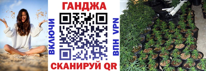 Купить где  Данков  Канабис ГИДРОПОН 